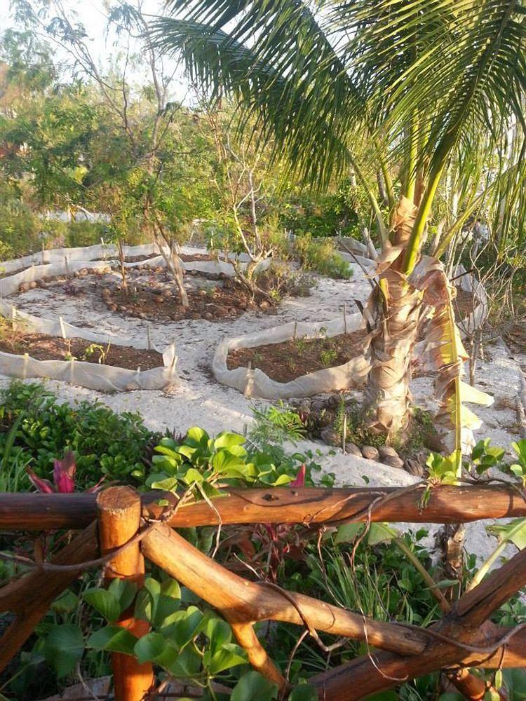 Blatha Tropical Rooms Holbox 외부 사진