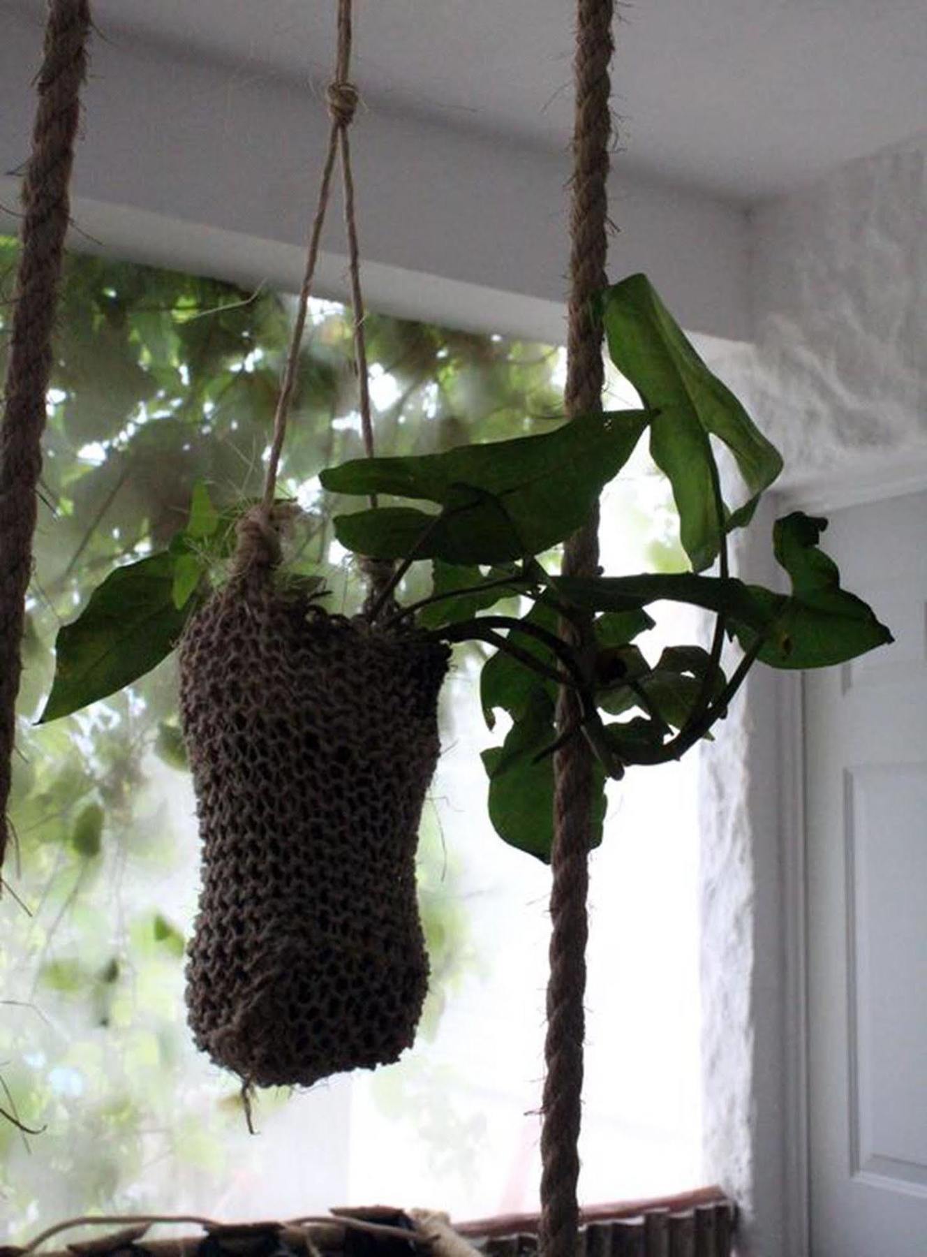 Blatha Tropical Rooms Holbox 외부 사진